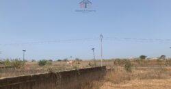 Terrain à vendre – 500 m² à Nguekokh, emplacement stratégique