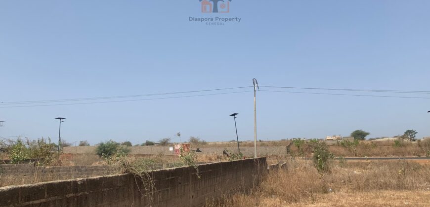 Terrain à vendre – 500 m² à Nguekokh, emplacement stratégique