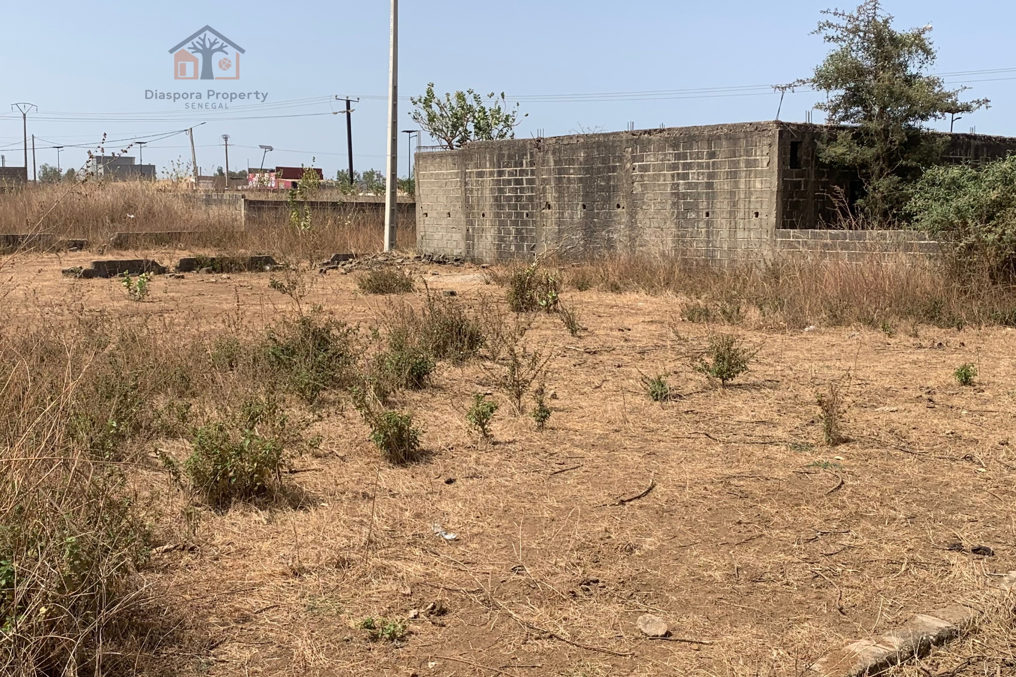 Terrain à vendre – 500 m² à Nguekokh, emplacement stratégique