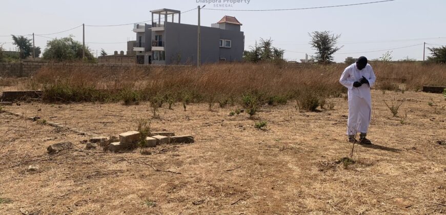 Terrain à vendre – 500 m² à Nguekokh, emplacement stratégique