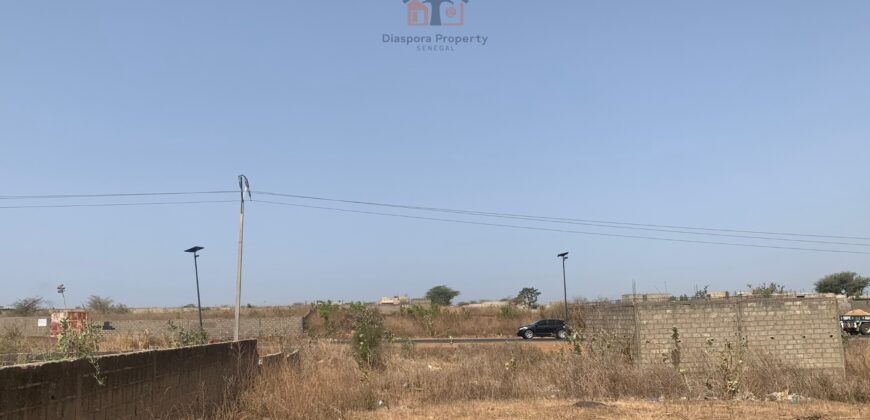 Terrain à vendre – 500 m² à Nguekokh, emplacement stratégique